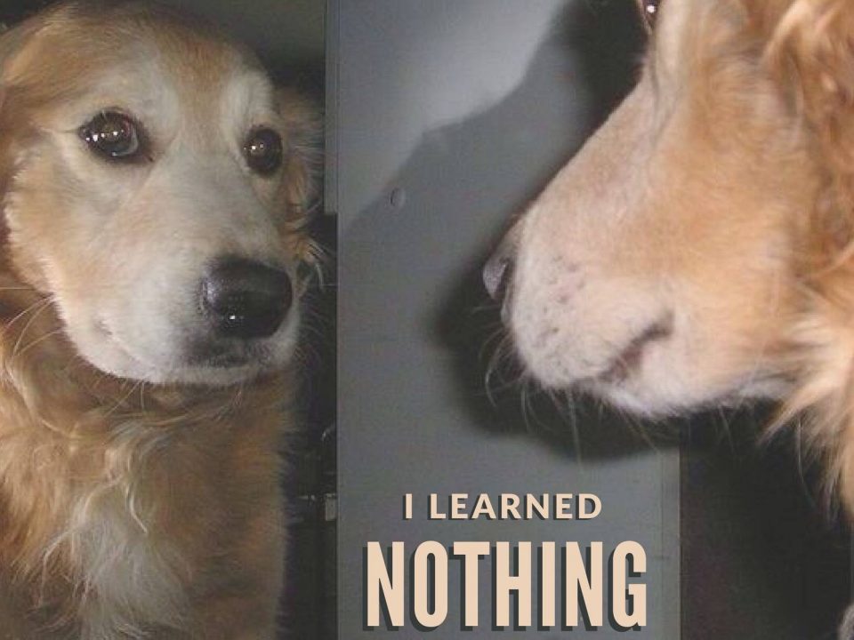 I Learned Nothing
