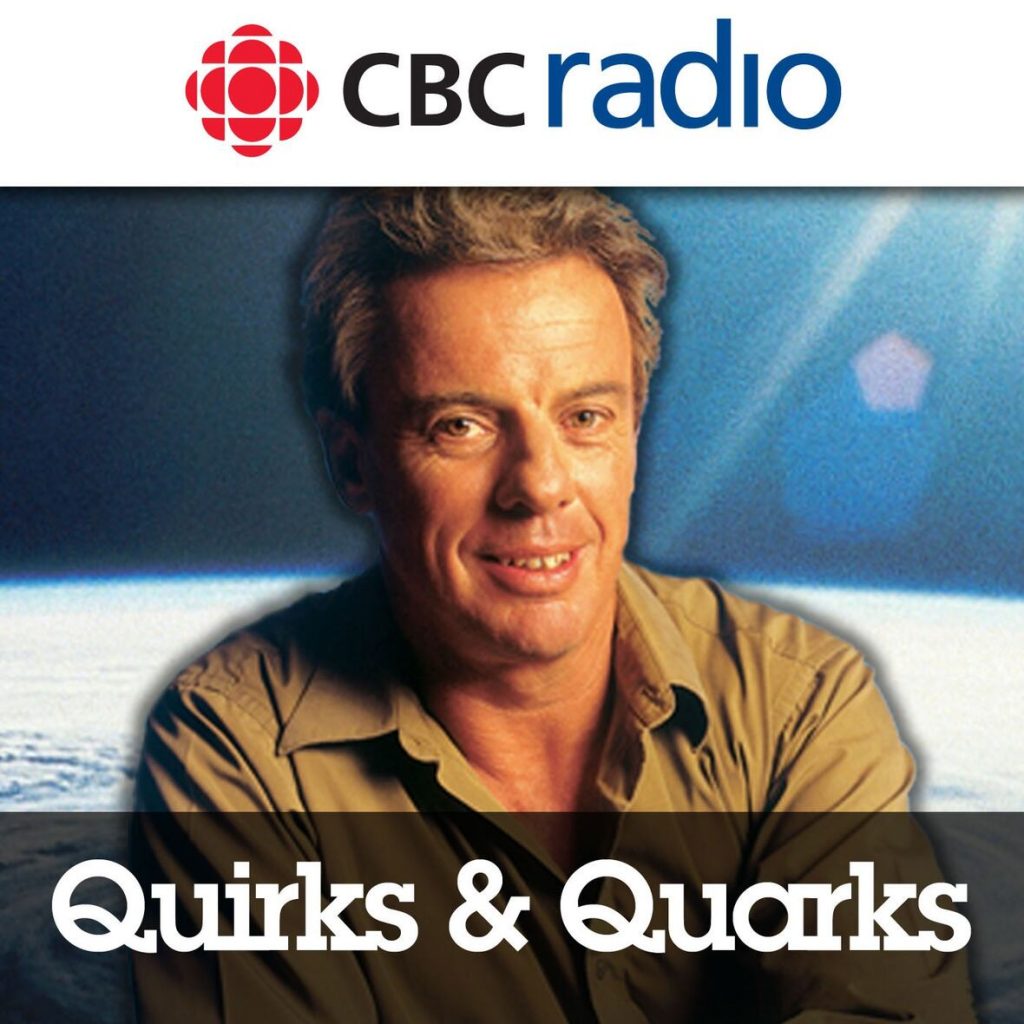 Quirks & Quarks